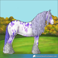 Horse Color:Watercolor White Spotted Liver Red Onyx Appaloosa 