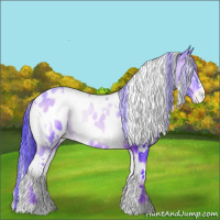 Horse Color:Watercolor White Spotted Liver Red Onyx Appaloosa 