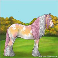 Horse Color:Gray Watercolor White Spotted Liver Red Onyx Sabino 