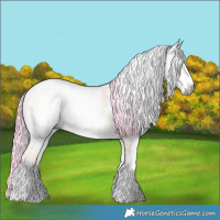 Horse Color:Gray Watercolor White Spotted Liver Red Onyx Sabino 