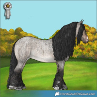 Horse Color:Brown Roan Rabicano  and Brown Roan Dun Rabicano Brindle 