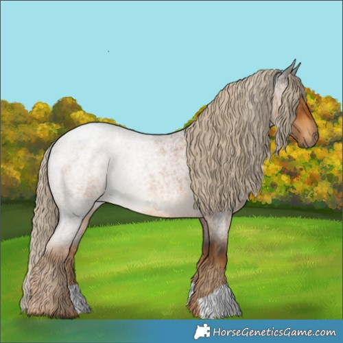 Horse Color:Chocolate Palomino Roan 