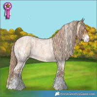 Horse Color:Liver Red Dun Tobiano Near Fewspot Brindle  and Chocolate Palomino Roan Dun Sabino 