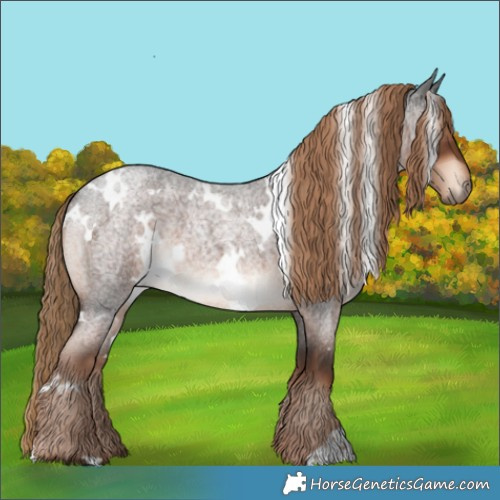 Horse Color:White Spotted Liver Red Roan 
