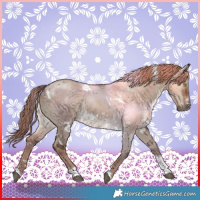 Horse Color:White Spotted Liver Red Dun Tobiano 