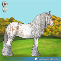 Horse Color:White Spotted Chocolate Palomino Tobiano  and White Spotted Liver Red Roan Splash Varnish Rabicano 