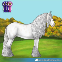 Horse Color:Cremello Dun Tobiano Frame Near Leopard  and Cremello Dun Tobiano Frame Snowcap 
