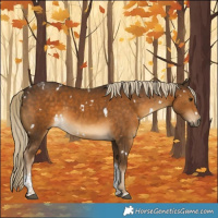 Horse Color:White Spotted Chocolate Palomino Tobiano 