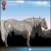 Horse Color:White Spotted Silver Blue Roan 