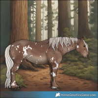 Horse Color:White Spotted Silver Black