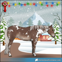 Horse Color:White Spotted Silver Black 