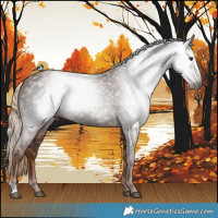 Horse Color:Gray Chestnut 
