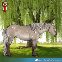 Horse Color:White Spotted Silver Brown Dun Rabicano 