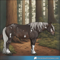 Horse Color:White Spotted Silver Brown Tobiano 