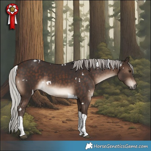 Horse Color:White Spotted Silver Brown Tobiano Rabicano 