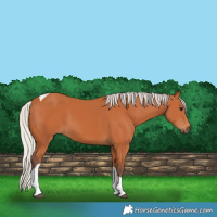Horse Color:Silver Bay Tobiano 
