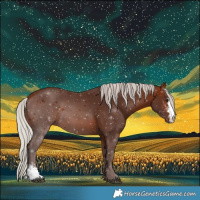 Horse Color:Silver Brown Sabino 