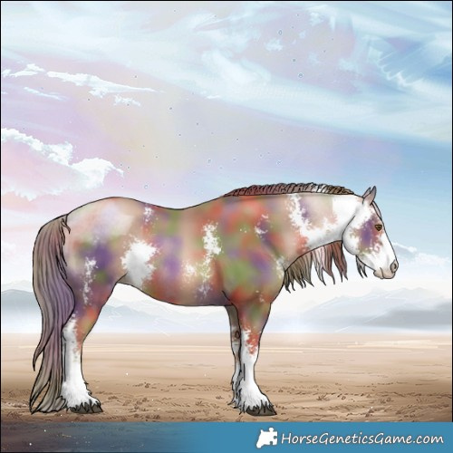 Horse Color:Nacre Liver Chestnut Pearl Sabino Rabicano 