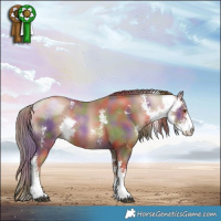 Horse Color:Nacre Liver Chestnut Pearl Sabino Rabicano 