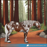 Horse Color:White Spotted Silver Brown Ice 