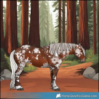 Horse Color:White Spotted Silver Brown Ice 