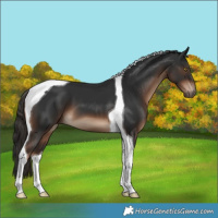 Horse Color:Liver Chestnut Tobiano 