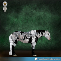 Horse Color:Watercolor White Spotted Silver Brown Ice Rabicano 