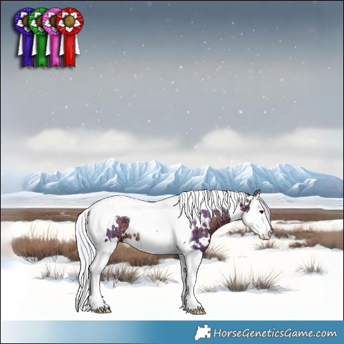 Horse Color:Watercolor White Spotted Silver Brown Ice Splash Tobiano Rabicano 