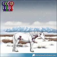 Horse Color:Watercolor White Spotted Silver Brown Ice Splash Tobiano Rabicano