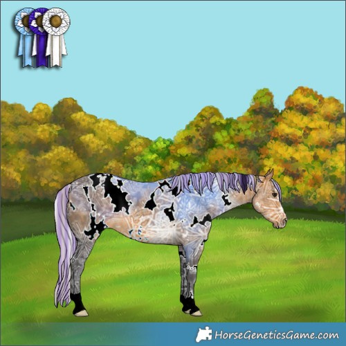 Horse Color:Painted White Spotted Silver Buckskin Ice 