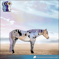 Horse Color:Painted White Spotted Silver Buckskin Ice 