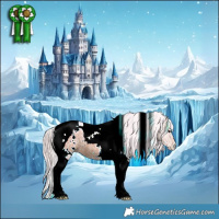 Horse Color:Watercolor White Spotted Silver Brown Ice Tobiano