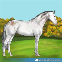 Horse Color:Nacre White Spotted Brown Ice Onyx 