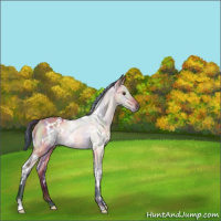 Horse Color:Nacre White Spotted Brown Dun 