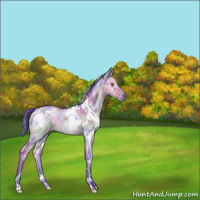 Horse Color:Nacre Watercolor White Spotted Bay Ice Dun