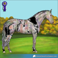 Horse Color:ERROR: UNKNOWN ANOMALY