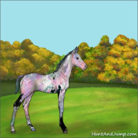 Horse Color:Nacre Watercolor White Spotted Bay Ice