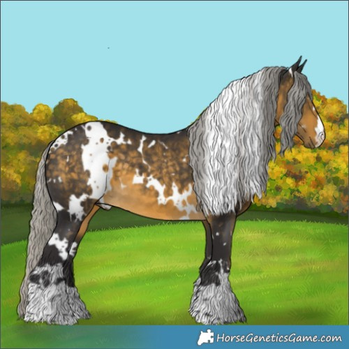 Horse Color:White Spotted Silver Buckskin 