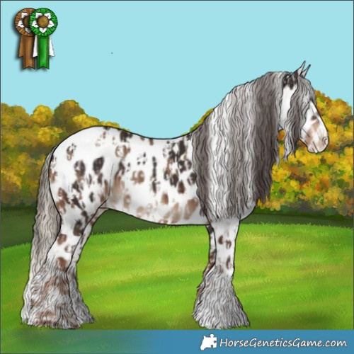 Horse Color:White Spotted Liver Red Dun Appaloosa  and White Spotted Liver Chestnut Appaloosa 