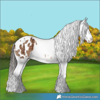 Horse Color:Liver Red Dun Tobiano Blanket Brindle 