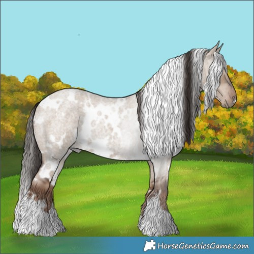 Horse Color:White Spotted Liver Red Dun Roan 