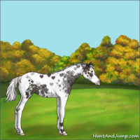 Horse Color:Painted Midnight Silver Classic Champagne Ice Splash Tobiano 