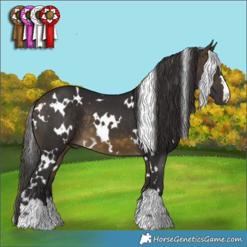 Horse Color:White Spotted Buckskin 