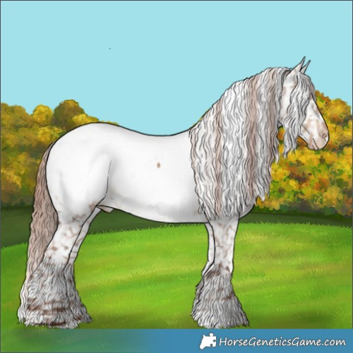 Horse Color:White Spotted Liver Red Dun Appaloosa 