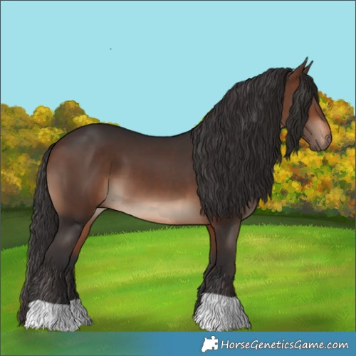 Horse Color:Brown 