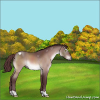 Horse Color:Platinum Chocolate Bay 