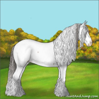 Horse Color:Liver Red Dun Sabino Appaloosa 