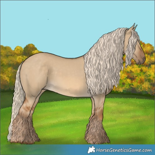 Horse Color:Chocolate Palomino Dun 