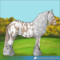 Horse Color:White Spotted Liver Red Dun Appaloosa 