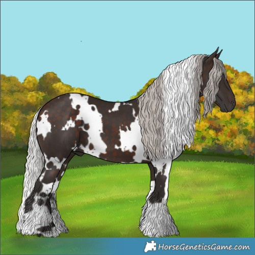 Horse Color:White Spotted Silver Brown 